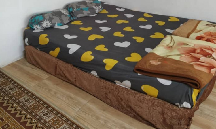 اجاره سوئیت نقلی جنگلی