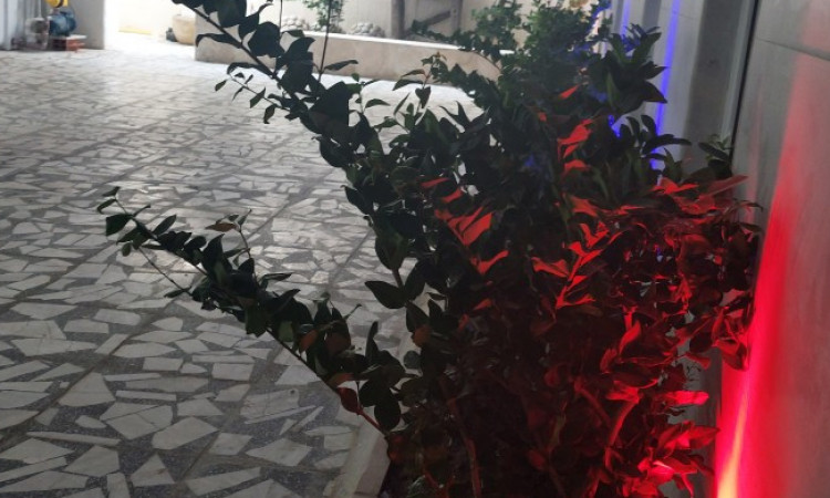 اجاره ویلا پارسه استخردار آبگرم