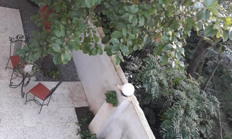 اجاره ویلا دوبلکس جنگلی تارا