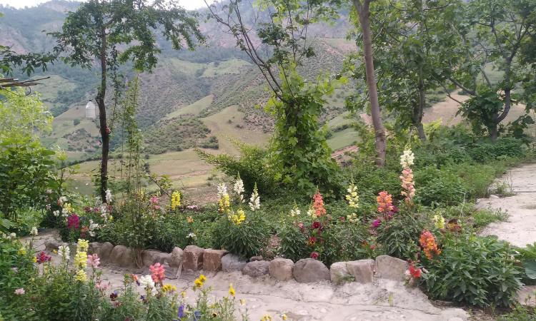 اجاره ویلا 1خواب(قورچای)