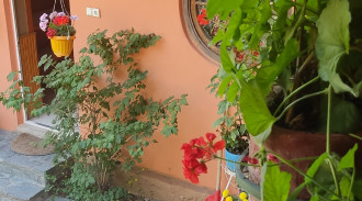 رزرو شله های چوبی شمشک واحد 1