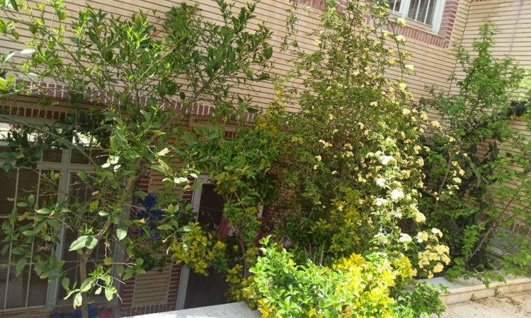 اجاره آپارتمان زیر همکف