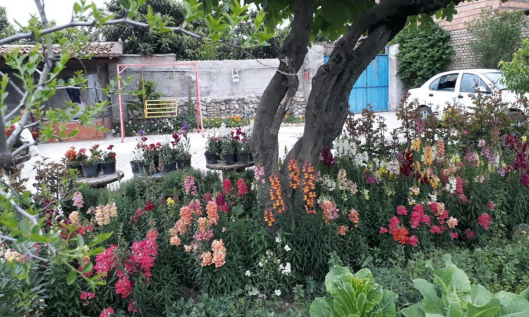 رزرو بوم گردی عمارت جاوید واحد طبقه اول
