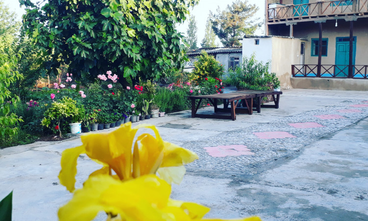 رزرو بوم گردی عمارت جاوید واحد طبقه اول