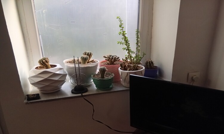 استئجار جناح في قرية ديزين