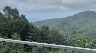 اجاره اقامتگاه ارغوان در دل جنگل بکر