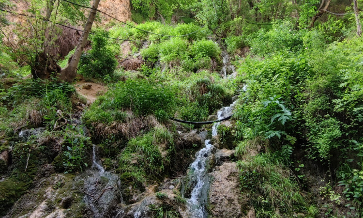 اجاره آپارتمان دوخوابه اخلمد بهشت خراسان