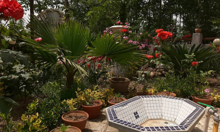 اجاره کلبه چوبی دوبلکس دوخواب رزماری