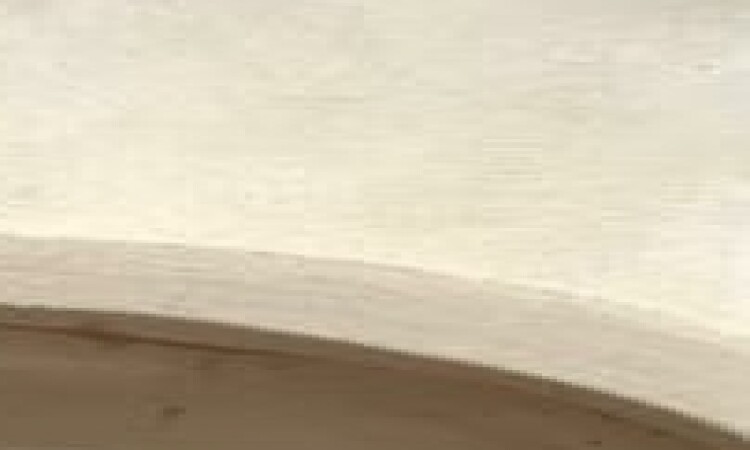 الوصول إلى Starfish Stars التي تم تجديدها (Room 3 Masher كبيرة)