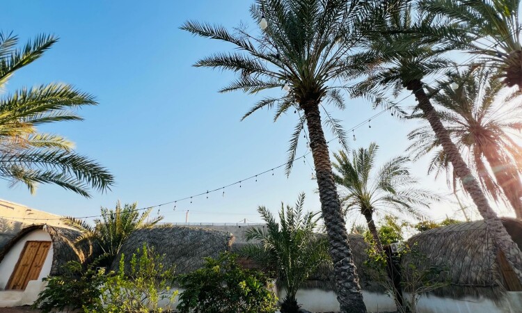 بومگردی بوم هرمزی اتاق 6 نفره (شماره6)