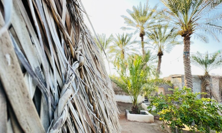 بومگردی بوم هرمزی اتاق 6 نفره (شماره6)