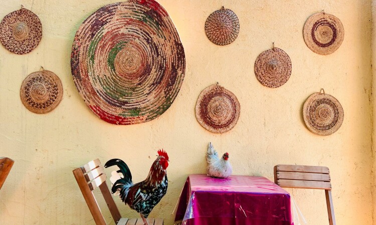 بومگردی بوم هرمزی اتاق 6 نفره (شماره6)