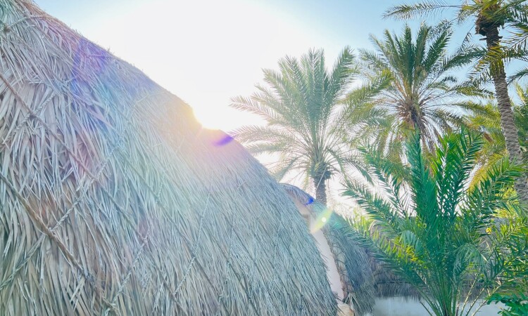 بومگردی بوم هرمزی اتاق 6 نفره (شماره6)