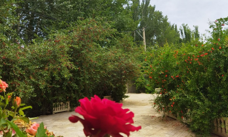 اجاره ویلا ابگرم درختی (لشگر آباد)