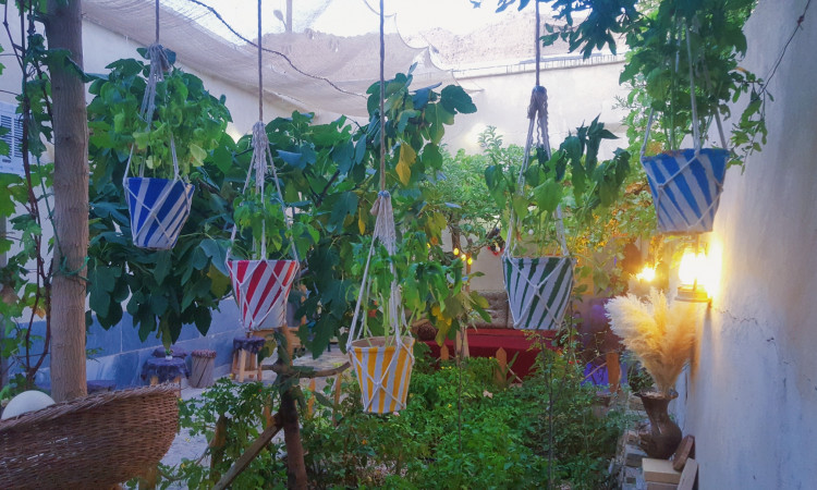 بوم گردی خاطره(اتاق ترمه)
