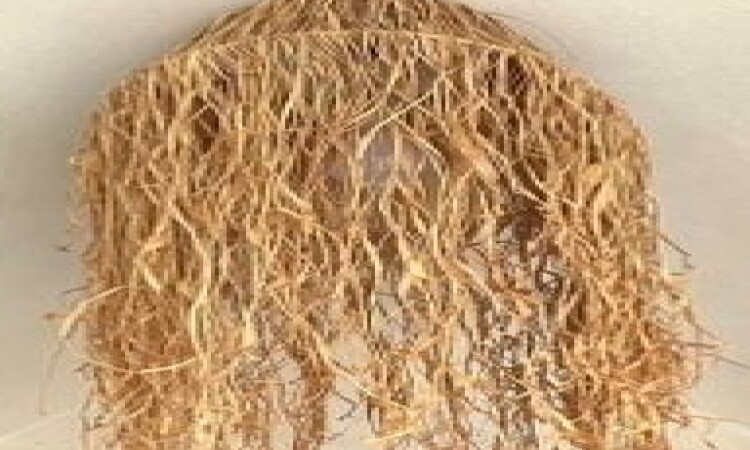 حجز النجوم التي تم تجديدها (لوحان توأمين)