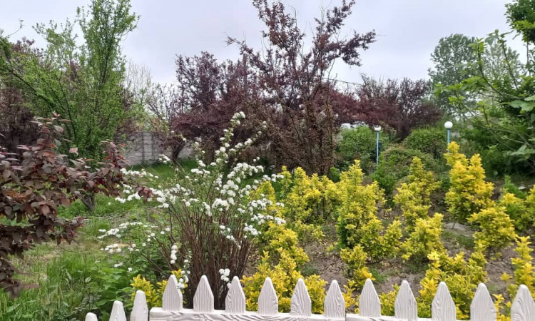 اجاره ویلا ویوباغ مزرعه