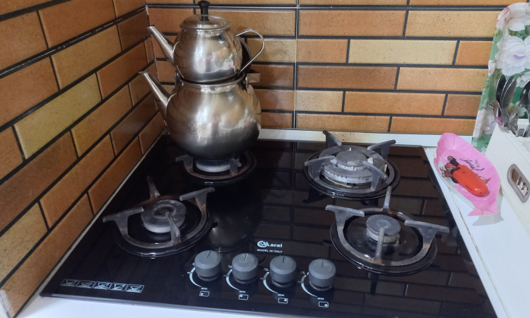 اجاره ویلا ویوباغ مزرعه