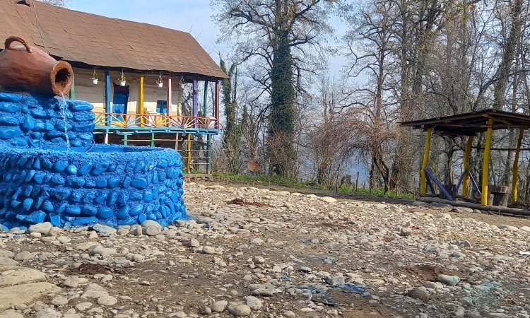 بومگردی جنگلی ویشه روجا