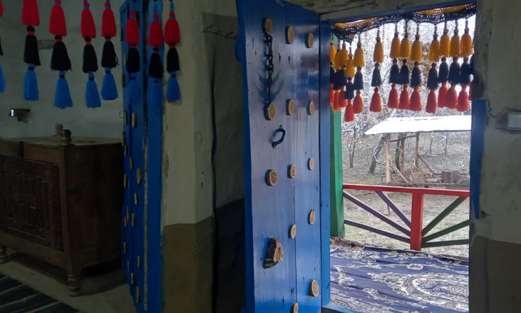 بومگردی جنگلی ویشه روجا