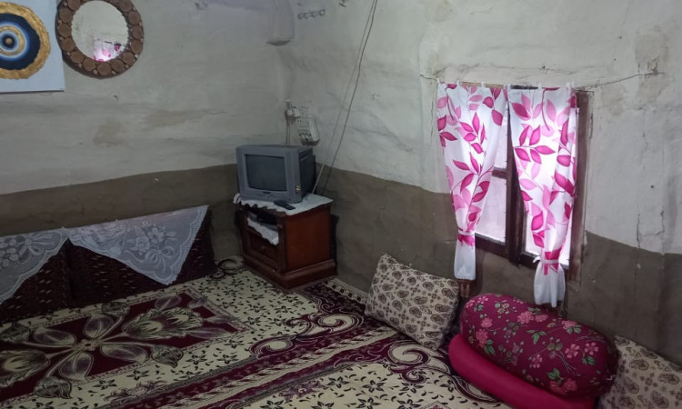 بومگردی جنگلی ویشه روجا