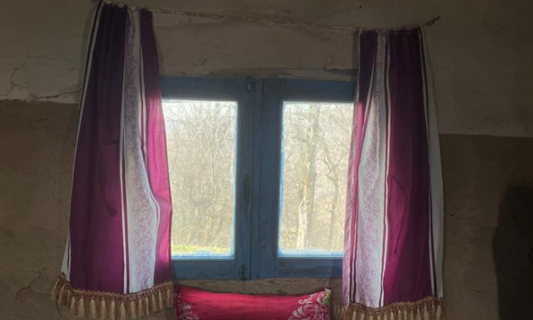 بومگردی جنگلی ویشه روجا