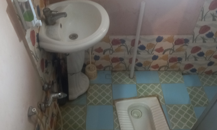 بومگردی جنگلی ویشه روجا
