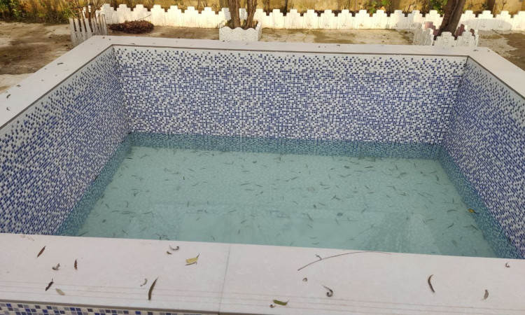 اجاره ویلای حیاط دارخوشحال