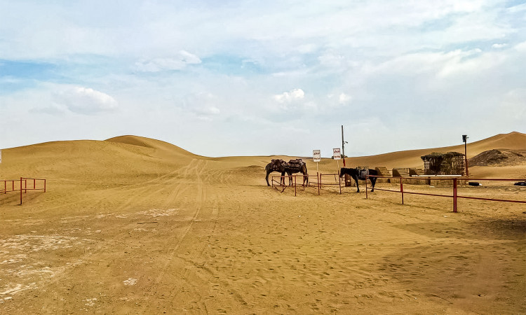 بوم گردی پارک طبیعتگردی شباهنگ 3