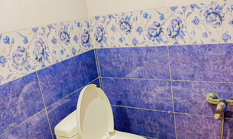 بوم گردی پارک طبیعتگردی شباهنگ 3