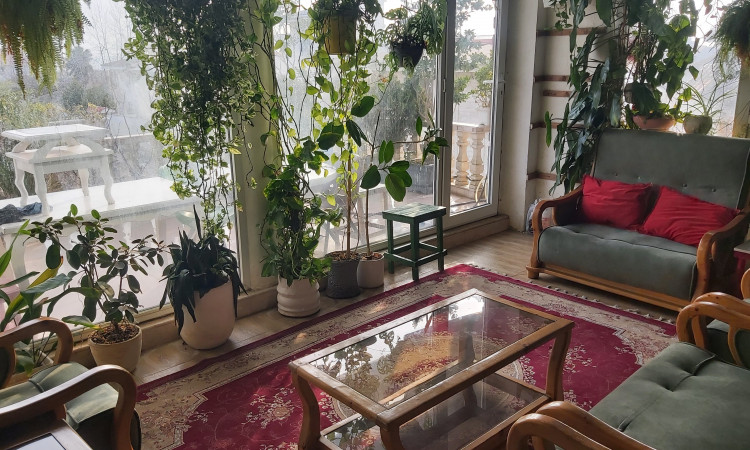 اجاره ویلا تریپلکس ساحلی چمخاله