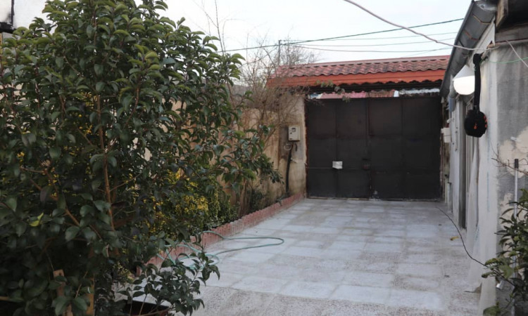 سوئیت حیاط دارویلایی الف