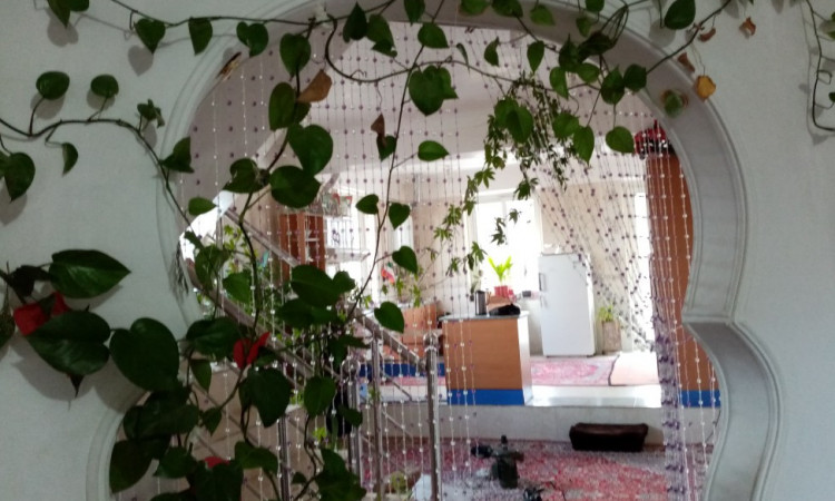 اقامتگاه بی بی قدم خیر - ویلای 1
