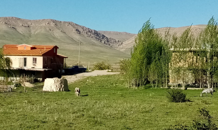 اقامتگاه بی بی قدم خیر - ویلای 1