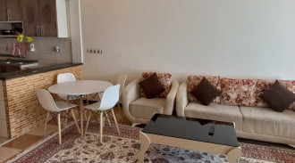 شقة مفروشة أنيقة