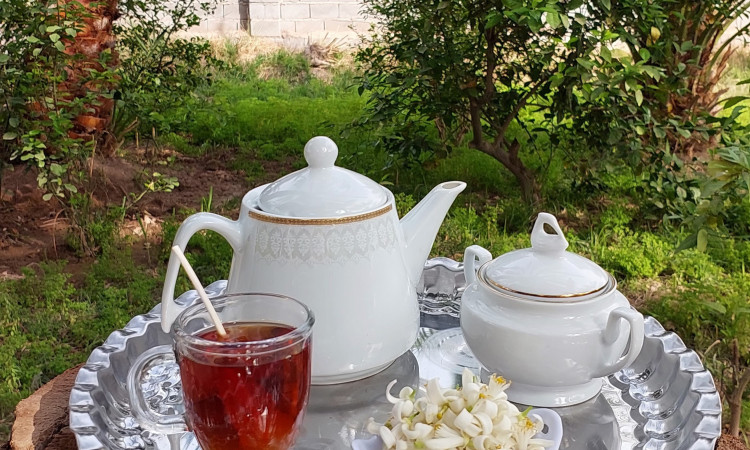 رزرو بوم گردی هوربانو سوئیت 3 تخته