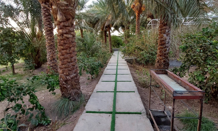 رزرو بومگردی نوربانو واحد تک خوابه پردیس