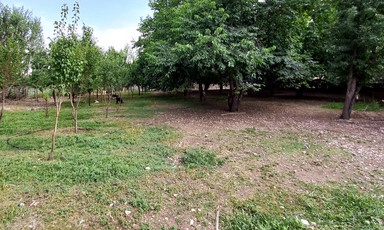اجاره ویلا شیک نشینان کوهرنگ