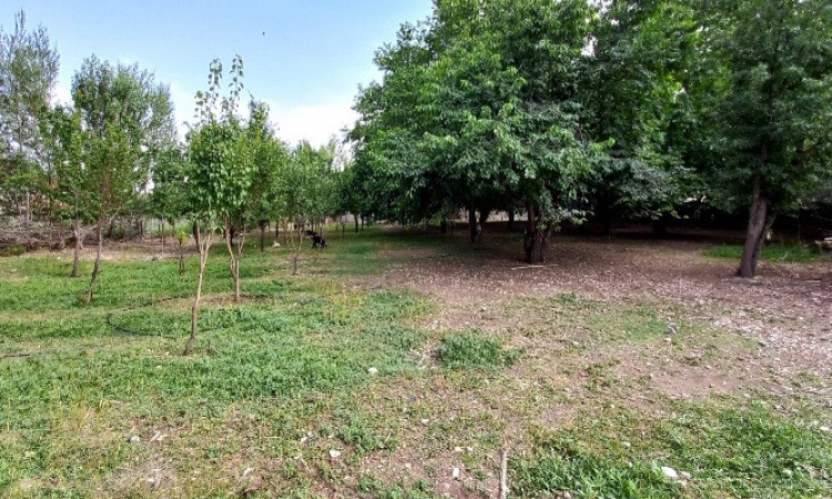 اجاره ویلا شیک نشینان کوهرنگ