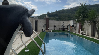 ویلا جنگلی دوبلکس دو خواب جذاب