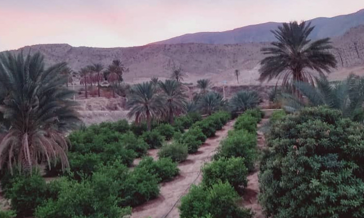 اقامتگاه بوم گردی باغ سلیمان 4(4 نفره)