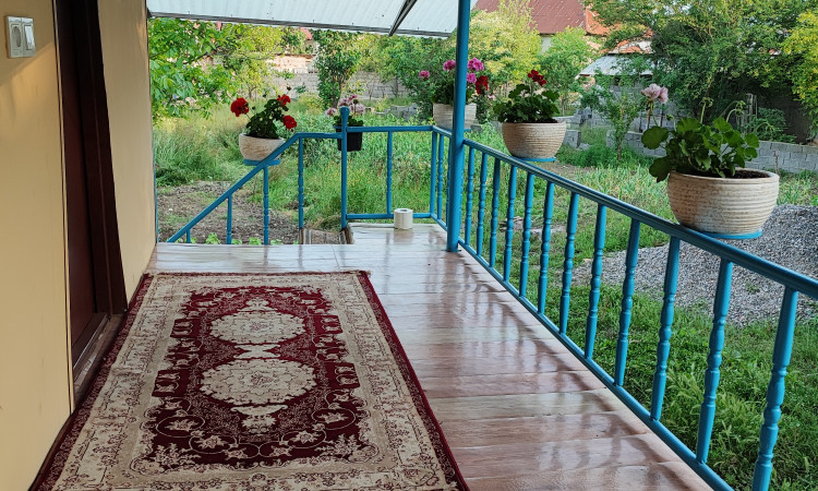 اجاره کلبه یکخوابه عمو عارف در بورخانی