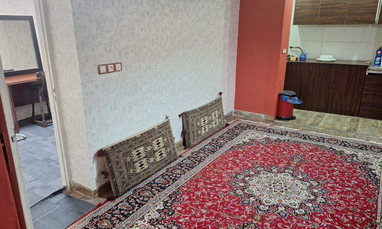 کفشدوزک 1