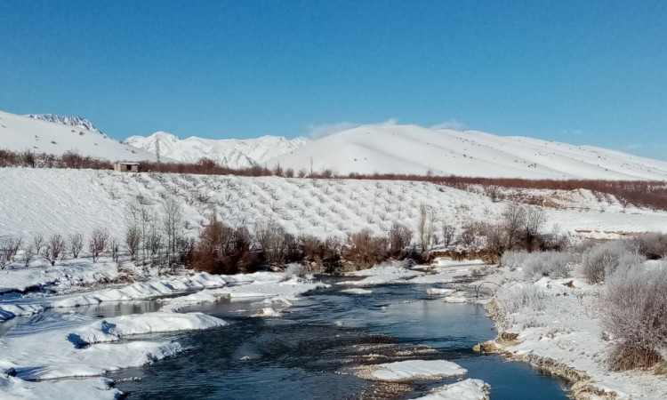 اقامتگاه بی بی قدم خیر - ویلای 2