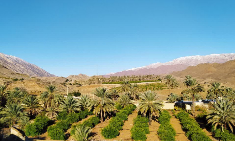 اقامتگاه بوم گردی باغ سلیمان 5 (4 نفره)