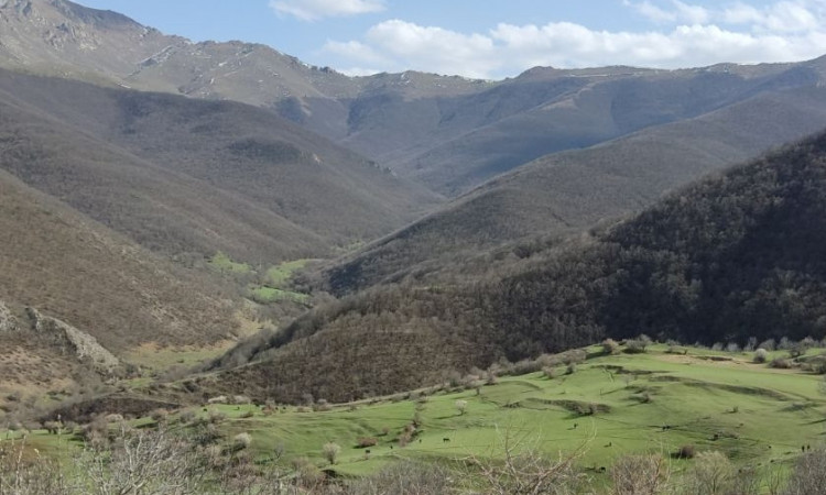 اجاره آپارتمان جنگلی مکیدی