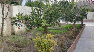 اجاره سوئیت نزدیک به دریا متل قو