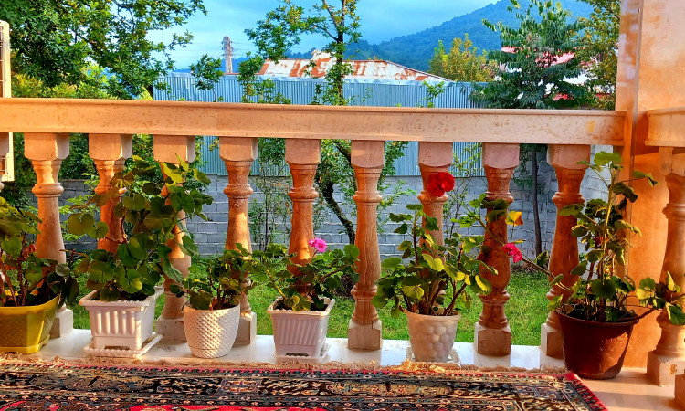 اجاره ویلا یک خواب جنگلی نیلاش