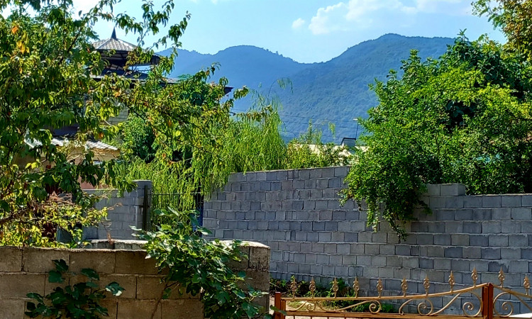 اجاره ویلا یک خواب جنگلی نیلاش