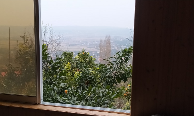 کلبه چوبی طبیعت کاردرکلا